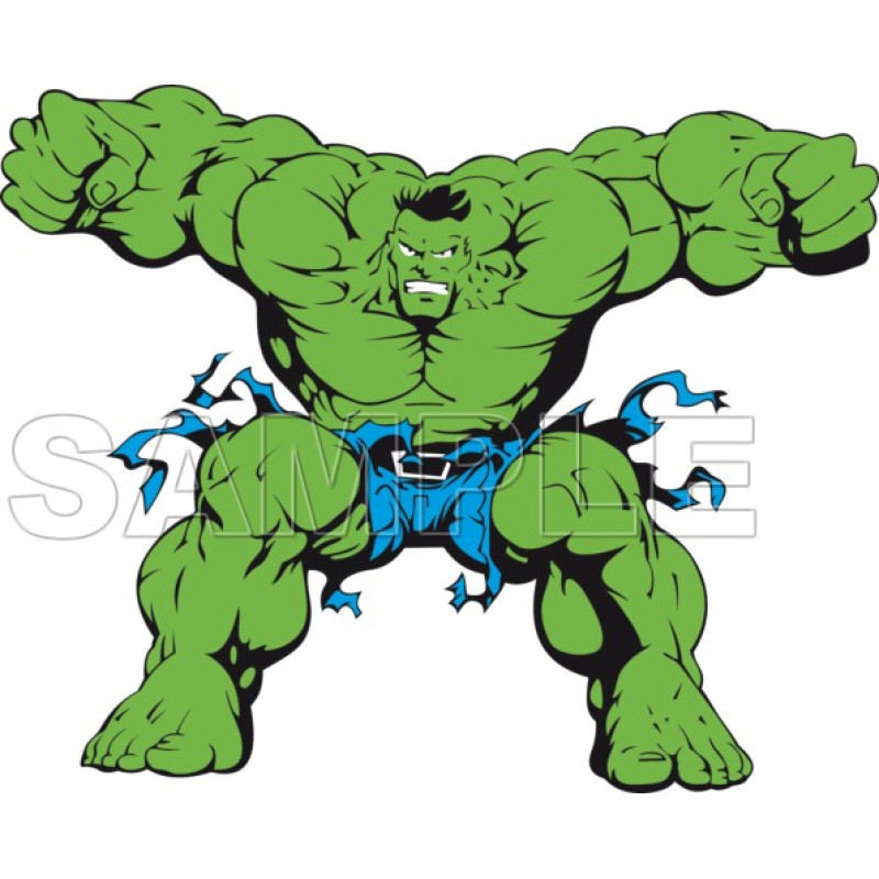 Hulk  T Shirt Iron on Transfer Decal #2