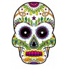 Mexican Sugar Skull  T Shirt Iron on Transfer  Decal  #27