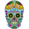 Mexican Sugar Skull  T Shirt Iron on Transfer  Decal  #29