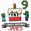 Minecraft  Birthday  Personalized  Custom  T Shirt Iron on Transfer Decal #12