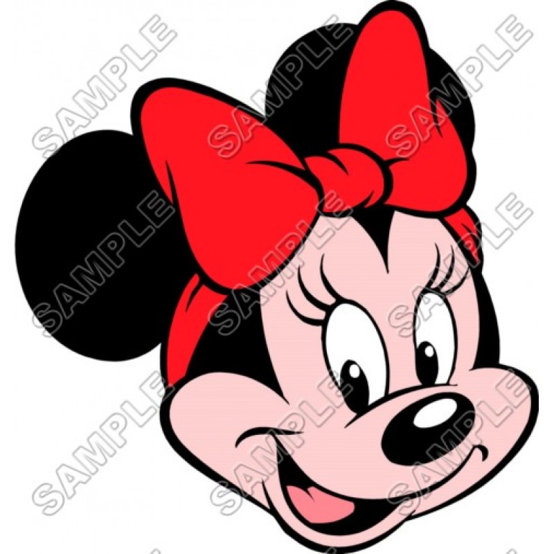 Minnie Mouse  T Shirt Iron on Transfer  Decal #22