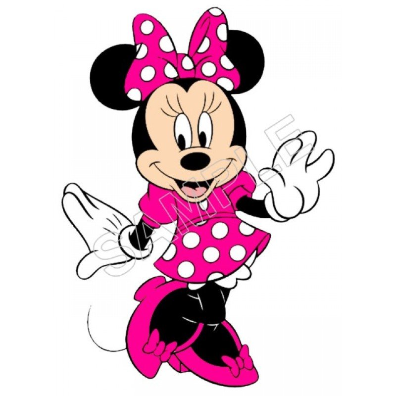 Minnie Mouse T Shirt Iron on Transfer Decal #34