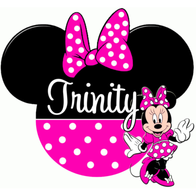 Disney World Disneyland  Vacation Minnie Mouse Custom Personalized T Shirt Iron on Transfer Decal #50