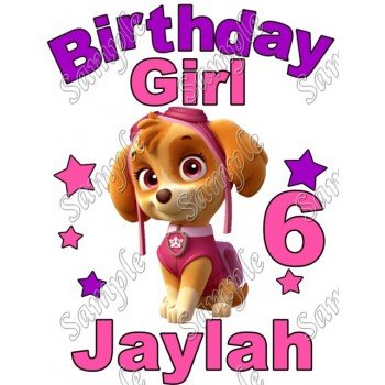 Paw Patrol Birthday Girl   Personalized  Custom  T Shirt Iron on Transfer Decal #3