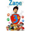 Paw Patrol  Birthday  Personalized  Custom  T Shirt Iron on Transfer #12