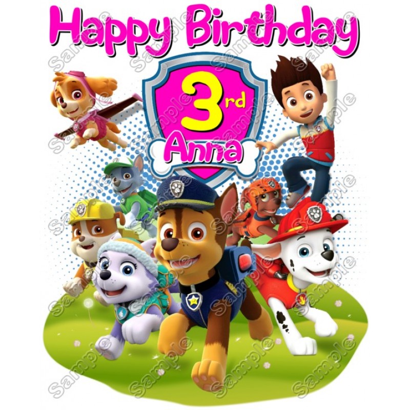 Paw Patrol  Girls  Birthday   Personalized   T Shirt Iron on Transfer #27