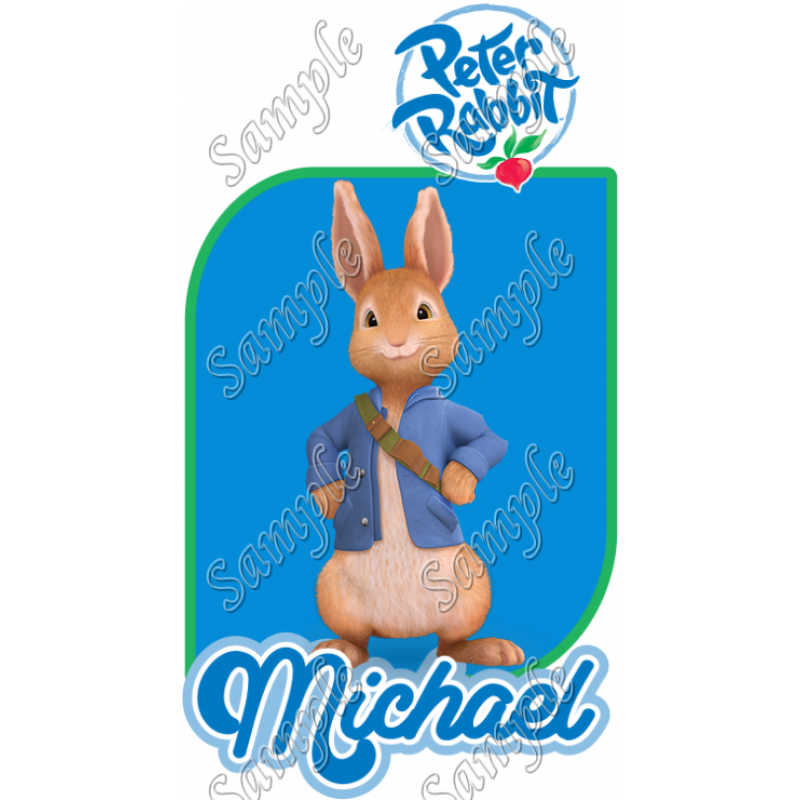 Peter Rabbit  Personalized  Custom  T Shirt Iron on Transfer Decal #1