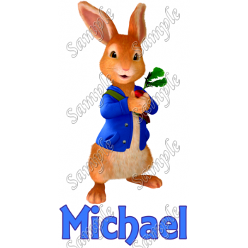 Peter Rabbit  Personalized  Custom  T Shirt Iron on Transfer Decal #2