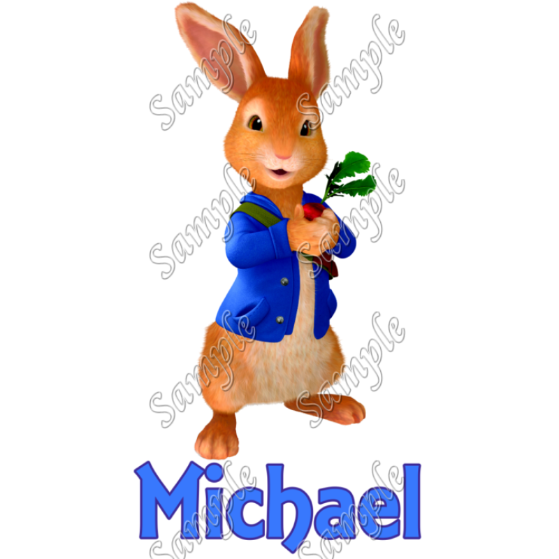 Peter Rabbit  Personalized  Custom  T Shirt Iron on Transfer Decal #2