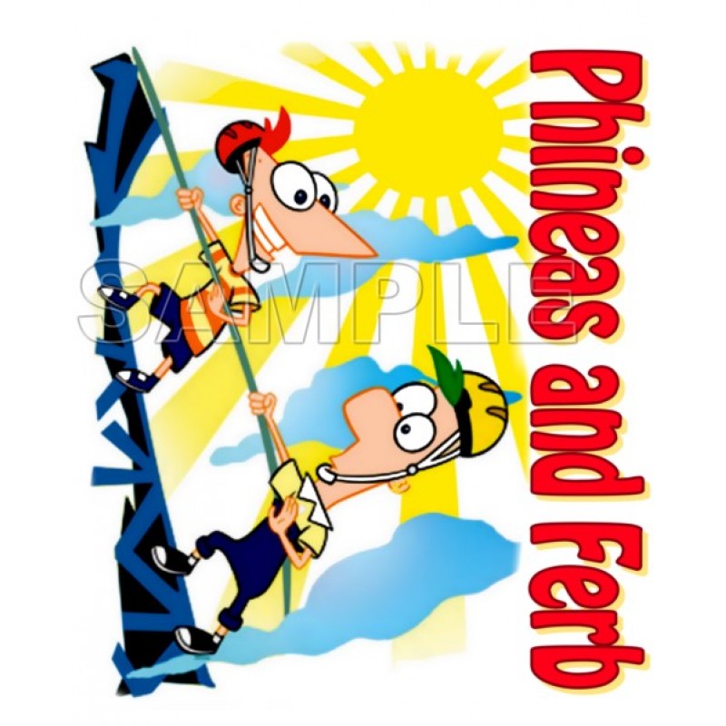 Phineas & Ferb T Shirt Iron on Transfer Decal #4