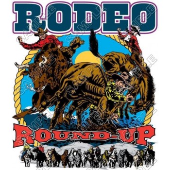 Rodeo T Shirt Iron on Transfer Decal #3