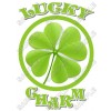 Saint Patrick's  ~ Lucky Charm ~  T Shirt Iron on Transfer Decal #1