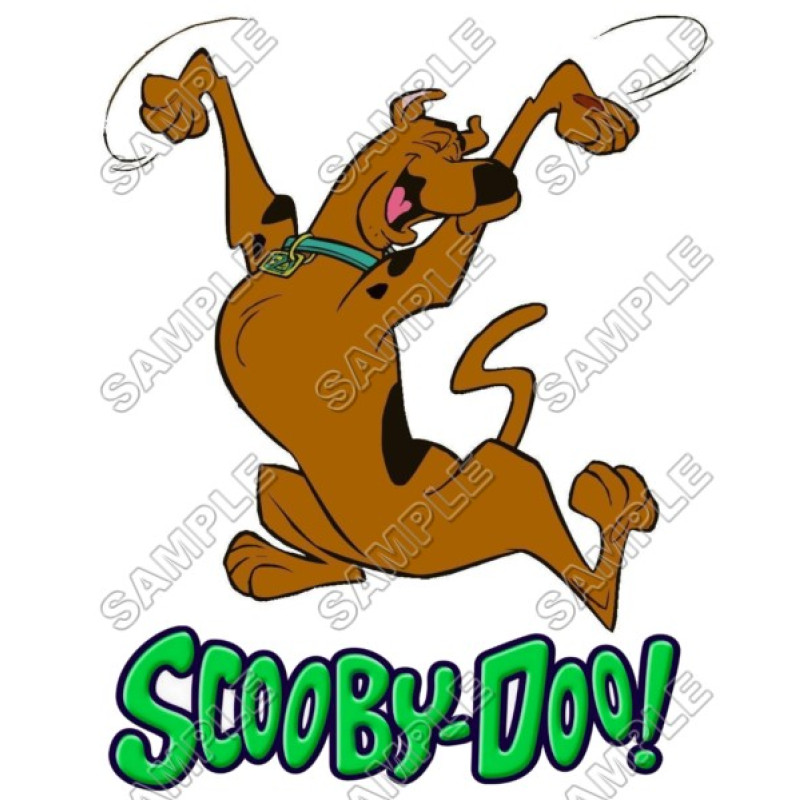 Scooby-Doo T Shirt Iron on Transfer Decal #3