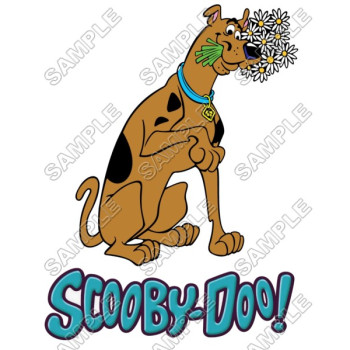 Scooby-Doo T Shirt Iron on Transfer Decal #6