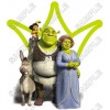 Shrek T Shirt Iron on Transfer Decal #2