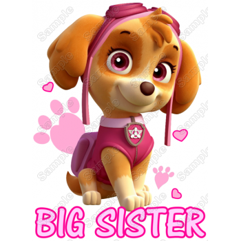 PAW Patrol Sky Big Sister T Shirt Iron on Transfer  Decal  