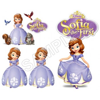 Sofia The First  Game T Shirt Iron on Transfer Decal #1