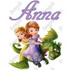 Sofia the First Ivy  Birthday  Personalized  Custom  T Shirt Iron on Transfer Decal #1