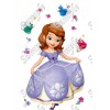 Sofia the  First Princess T Shirt Iron on Transfer Decal #16