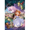 Sofia the First Princess  T Shirt Iron on Transfer  Decal  #8