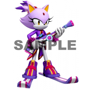 Sonic Blaze  T Shirt Iron on Transfer Decal #35