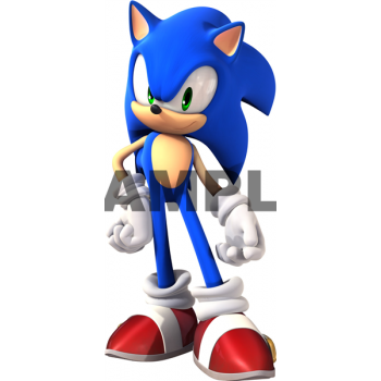 Sonic T Shirt Iron on Transfer Decal #25