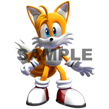 Sonic  Tails T Shirt Iron on Transfer Decal #10