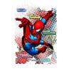 Spider - Man T Shirt Iron on Transfer Decal #8