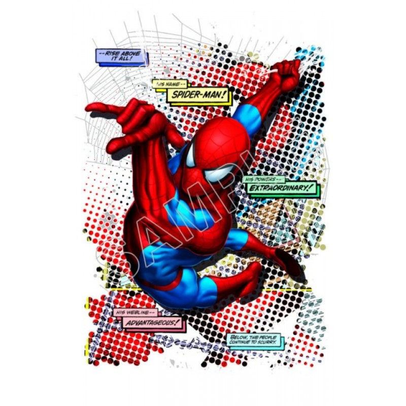 Spider - Man T Shirt Iron on Transfer Decal #8