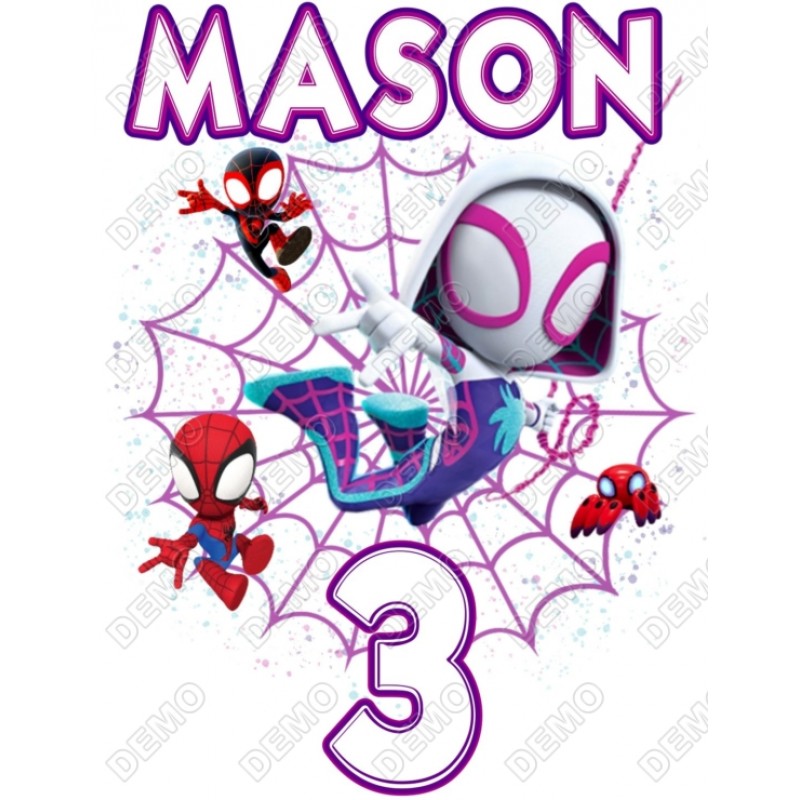 Ghost Spidey and His Amazing Friends Birthday  T Shirt Iron on Transfer