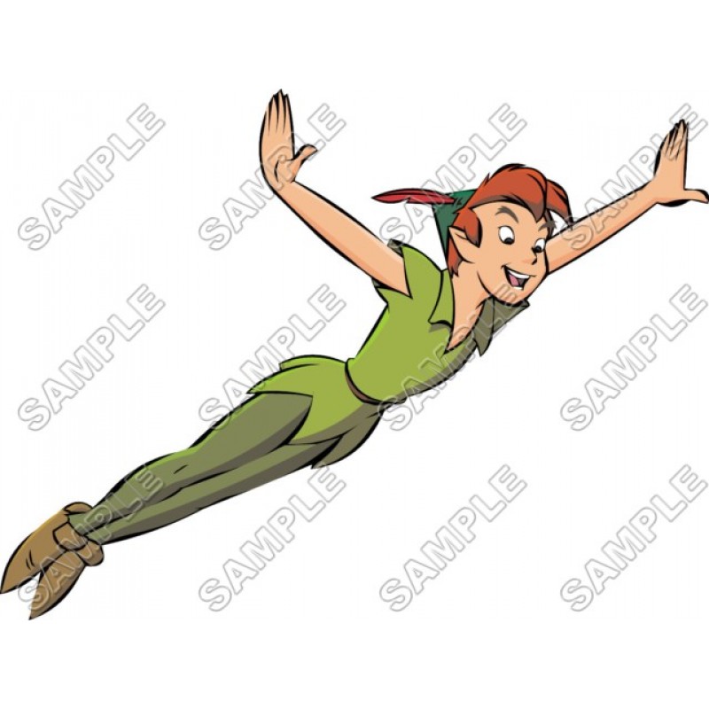 Tinkerbell Peter Pan T Shirt Iron on Transfer Decal #4