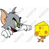 Tom and Jerry  T Shirt Iron on Transfer Decal #1