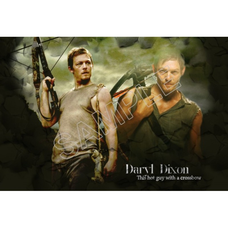 Walking Dead Daryl Dixon  T Shirt Iron on Transfer Decal #1