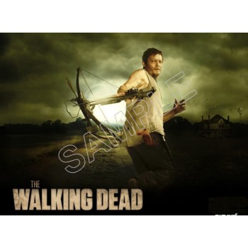 Walking Dead Daryl Dixon  T Shirt Iron on Transfer Decal #2