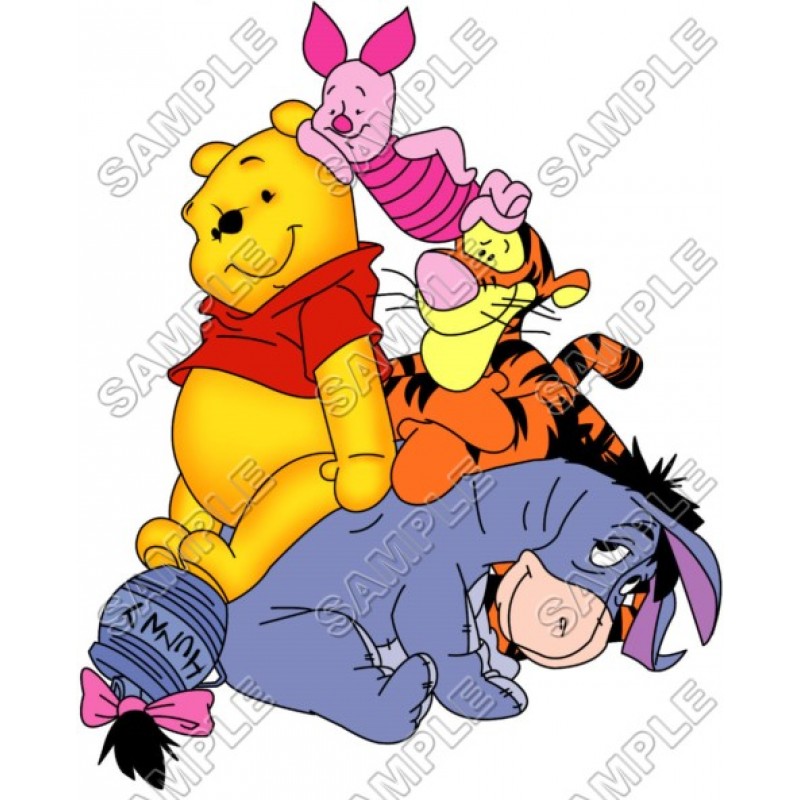 Winnie the Pooh Eeyore Tiger T Shirt Iron on Transfer Decal #12