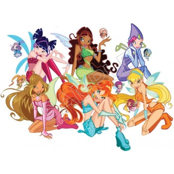 Winx Club  Fairy T Shirt Iron on Transfer Decal #93