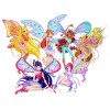 Winx Club  Fairy T Shirt Iron on Transfer Decal #95