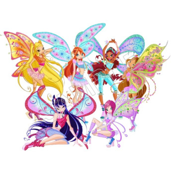 Winx Club  Fairy T Shirt Iron on Transfer Decal #95