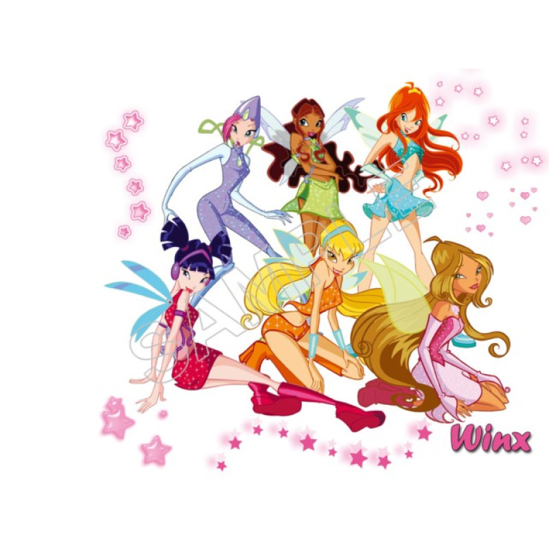 Winx Club  Fairy T Shirt Iron on Transfer Decal #97