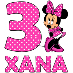 Minnie Mouse Pink  Birthday   Personalized   T Shirt Iron on Transfer #17