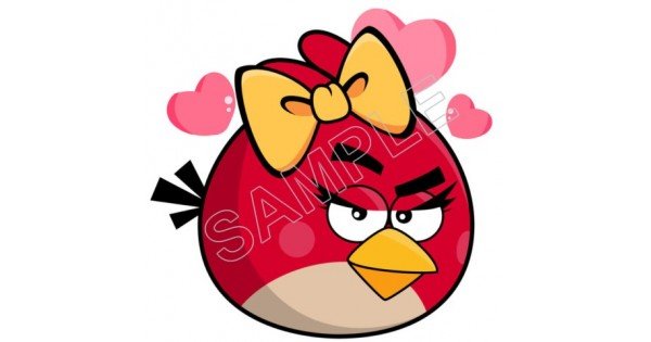 Angry Birds T Shirt Iron on Transfer Decal #1