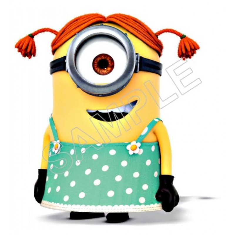 Despicable Me Minion Girl T Shirt Iron on Transfer Decal #96