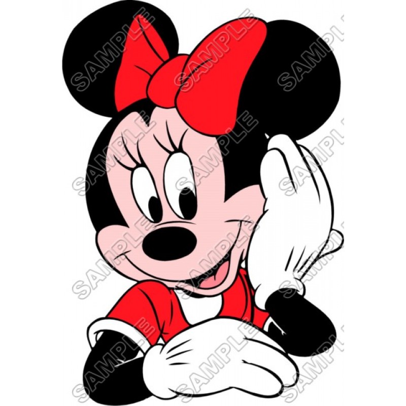 Minnie Mouse Disney Iron on transfer sticker pa4 – StickersForLife