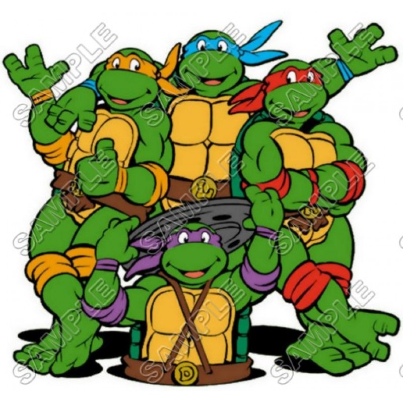 https://www.shopironons.com/image/cache/data/product/teenage-mutant-ninja-turtles-t-shirt-iron-on-transfer-decal-1-1061-800x800.jpg