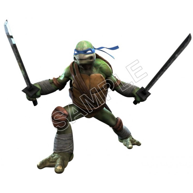 Teenage Mutant Ninja Turtles TMNT T Shirt Iron on Transfer